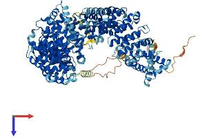IPO7 Protein (AA 1-1038) (His tag)