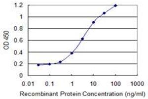 Detection limit for recombinant GST tagged PHF7 is 0. (PHF7 Antikörper  (AA 258-357))