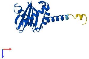 AP1S2 Protein (AA 1-157) (His tag)
