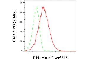 Flow cytometric analysis of PIN1 expression in HAP-1 cells using PIN1 antibody (ABIN7799762), 1:2,000). (PIN1 Antikörper)
