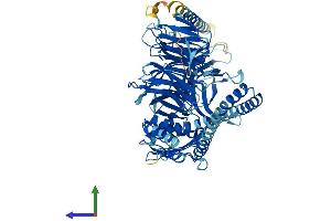 AlphaFold protein structure predicition of Mouse Recombinant Bbs2 Protein, UniprotID Q9CWF6