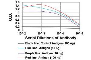 ELISA analysis of CTNNBL1 monoclonal antibody, clone 1E4F5  at 1:10000 dilution. (CTNNBL1 Antikörper  (AA 390-557))