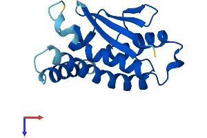 TRAPPC6B Protein (AA 1-158) (His tag)