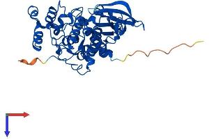 CSNK2A2 Protein (AA 1-350) (His tag)