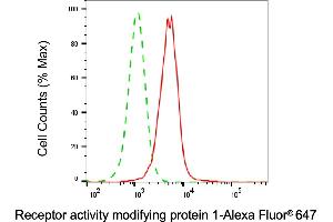 Flow cytometric analysis of Receptor activity modifying protein 1 expression in HepG2 cells using Receptor activity modifying protein 1 antibody (ABIN7800151), 1:2,000). (Rekombinanter RAMP1 Antikörper)