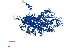Acox2 Protein (AA 1-681) (His tag)