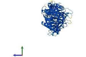Protein Structure (PS) image for Peptidyl Arginine Deiminase, Type IV (PADI4) (AA 1-666) protein (His tag) (ABIN7565270)