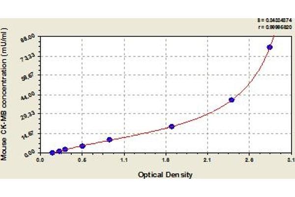 Creatine Kinase MB ELISA Kit