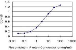 Detection limit for recombinant GST tagged LDB3 is approximately 0. (LIM Domain Binding 3 Protein Antikörper  (AA 1-283))