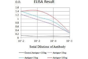 Black line: Control Antigen (100 ng),Purple line: Antigen (10 ng), Blue line: Antigen (50 ng), Red line:Antigen (100 ng) (TNFRSF6B Antikörper  (AA 24-92))