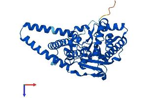 AGPAT3 Protein (AA 1-376) (His tag)