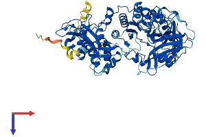 AlphaFold protein structure predicition of Mouse Recombinant Ttll12 Protein, UniprotID Q3UDE2