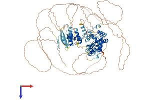 ZHX2 Protein (AA 1-837) (His tag)