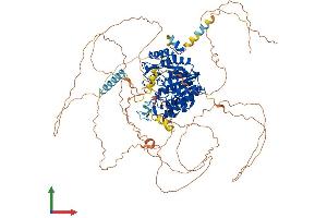 Protein Structure (PS) image for Histone Deacetylase 7 (HDAC7) (AA 1-952) protein (His tag) (ABIN7554072)