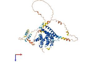 TOM1 Protein (AA 1-492) (His tag)
