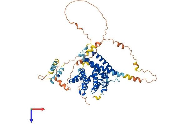 TOM1 Protein (AA 1-492) (His tag)