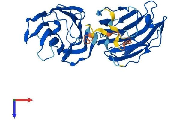 GAL4 Protein (AA 1-323) (His tag)