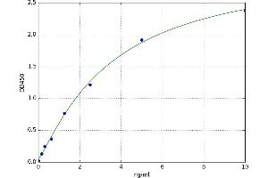A typical standard curve (HOGA1 ELISA Kit)
