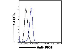 ABIN190862 Flow cytometric analysis of paraformaldehyde fixed MCF7 cells (blue line), permeabilized with 0. (DIO2 Antikörper  (Internal Region))