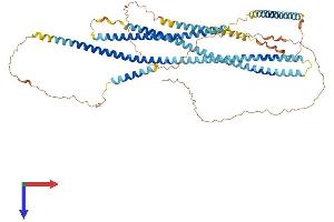 Golgin A8 Family, Member I (GOLGA8I) (AA 1-632) protein (His tag)