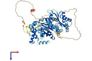 Adenylate Kinase 5 Protein (AK5) (AA 1-562) (His tag)