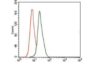 Image no. 3 for anti-delta-Like 4 (DLL4) antibody (ABIN1497856) (DLL4 Antikörper)