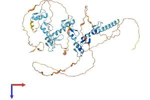 ZNF358 Protein (AA 1-568) (His tag)