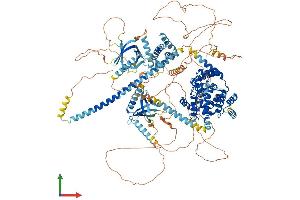 Protein Structure (PS) image for TBC1 Domain Family, Member 4 (TBC1D4) (AA 1-1307) protein (His tag) (ABIN7564465)