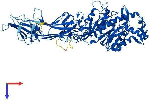 PADI3 Protein (AA 1-664) (His tag)