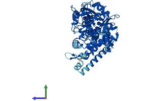 Protein Structure (PS) image for Cytochrome P450, Family 4, Subfamily F, Polypeptide 22 (CYP4F22) (AA 1-531) protein (His tag) (ABIN7546736)