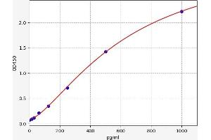 Typical standard curve