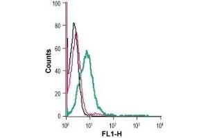 Cell surface detection of GLUT1 in live intact human Jurkat T-cell leukemia cells: (black line) Cells. (GLUT1 Antikörper  (Extracellular))