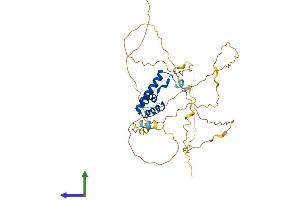 Protein Structure (PS) image for Lymphoid Enhancer-Binding Factor 1 (LEF1) (AA 1-399) protein (His tag) (ABIN7554378)