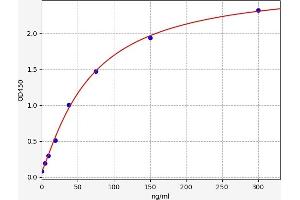 Ceruloplasmin (Ferroxidase) (CP) ELISA Kit