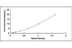 Typical standard curve (IFIH1 ELISA Kit)