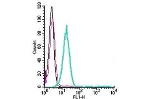Flow Cytometry (FACS) image for anti-Opioid Receptor, mu 1 (OPRM1) (AA 22-38), (Extracellular) antibody (FITC) (ABIN7043405)