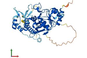 Protein Structure (PS) image for Inositol Polyphosphate-1-Phosphatase (INPP1) (AA 1-399) protein (His tag) (ABIN7548501)