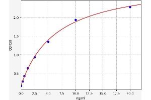 Typical standard curve