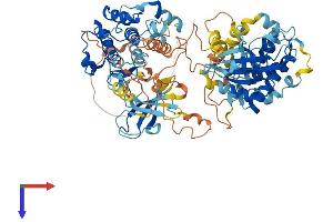 MSK2 Protein (AA 1-772) (His tag)