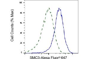 Validation of SMC3 knockdown using flow cytometry. (Rekombinanter SMC3 Antikörper)