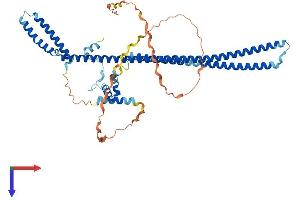 PDCD7 Protein (AA 1-482) (His tag)