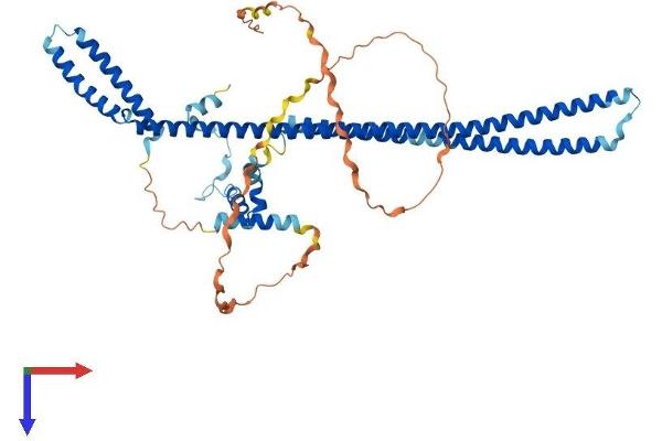 PDCD7 Protein (AA 1-482) (His tag)