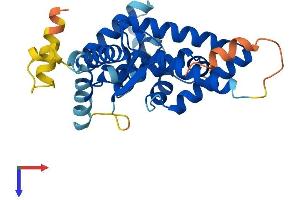 LIX1 Protein (AA 1-282) (His tag)
