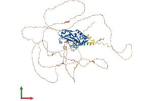 AlphaFold protein structure predicition of Mouse Recombinant Tbx2 Protein, UniprotID Q60707