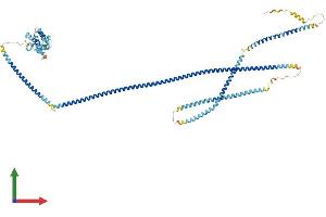 Protein Structure (PS) image for Hook Homolog 1 (HOOK1) (AA 1-728) protein (His tag) (ABIN7554107)