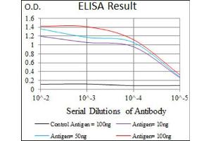 Red: Control Antigen (100ng) ; Purple: Antigen (10ng) ; Green: Antigen (50ng) ; Blue: Antigen (100ng). (Prosaposin Antikörper  (AA 325-524))