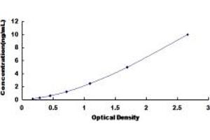 Typical standard curve (CCR1 ELISA Kit)