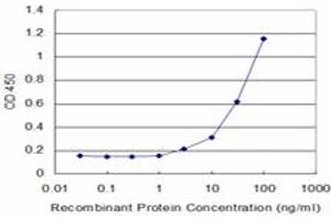 Detection limit for recombinant GST tagged CYP2D6 is approximately 3ng/ml as a capture antibody. (CYP2D6 Antikörper  (AA 91-190))