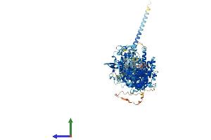 Protein Structure (PS) image for Ubiquitin Protein Ligase E3B (UBE3B) (AA 1-1068) protein (His tag) (ABIN7555905)