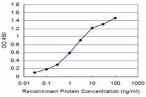 Detection limit for recombinant GST tagged FADD is approximately 0. (FADD Antikörper  (AA 109-208))